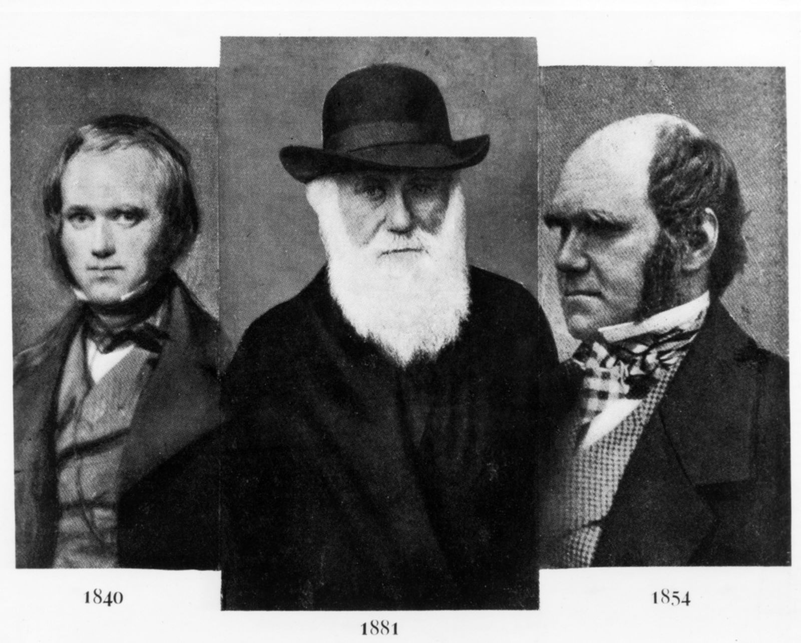 12 lutego 1809 roku urodził się Karol Darwin